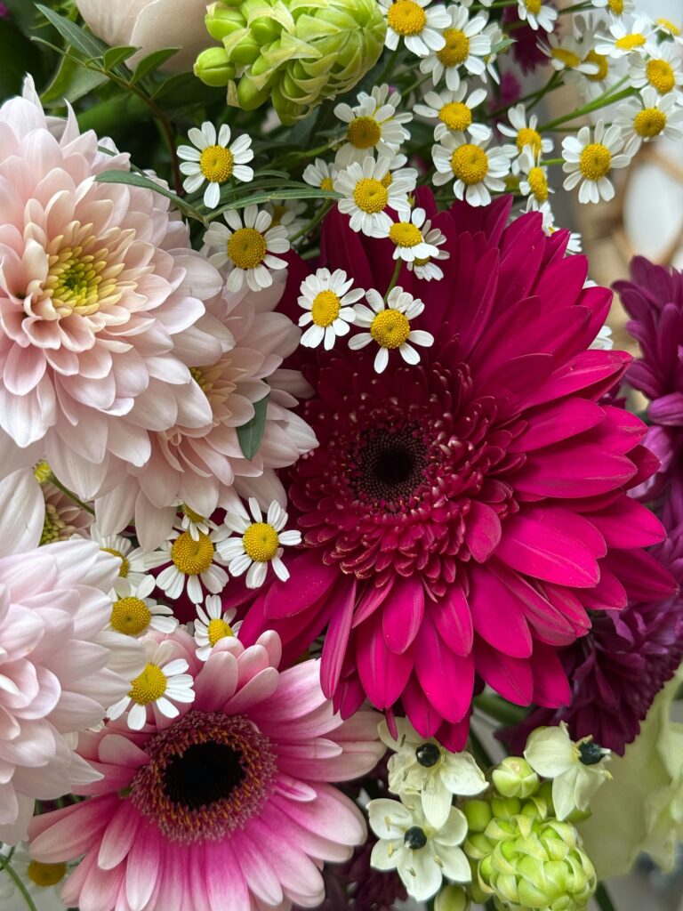 Gerbera ve papatya buketi